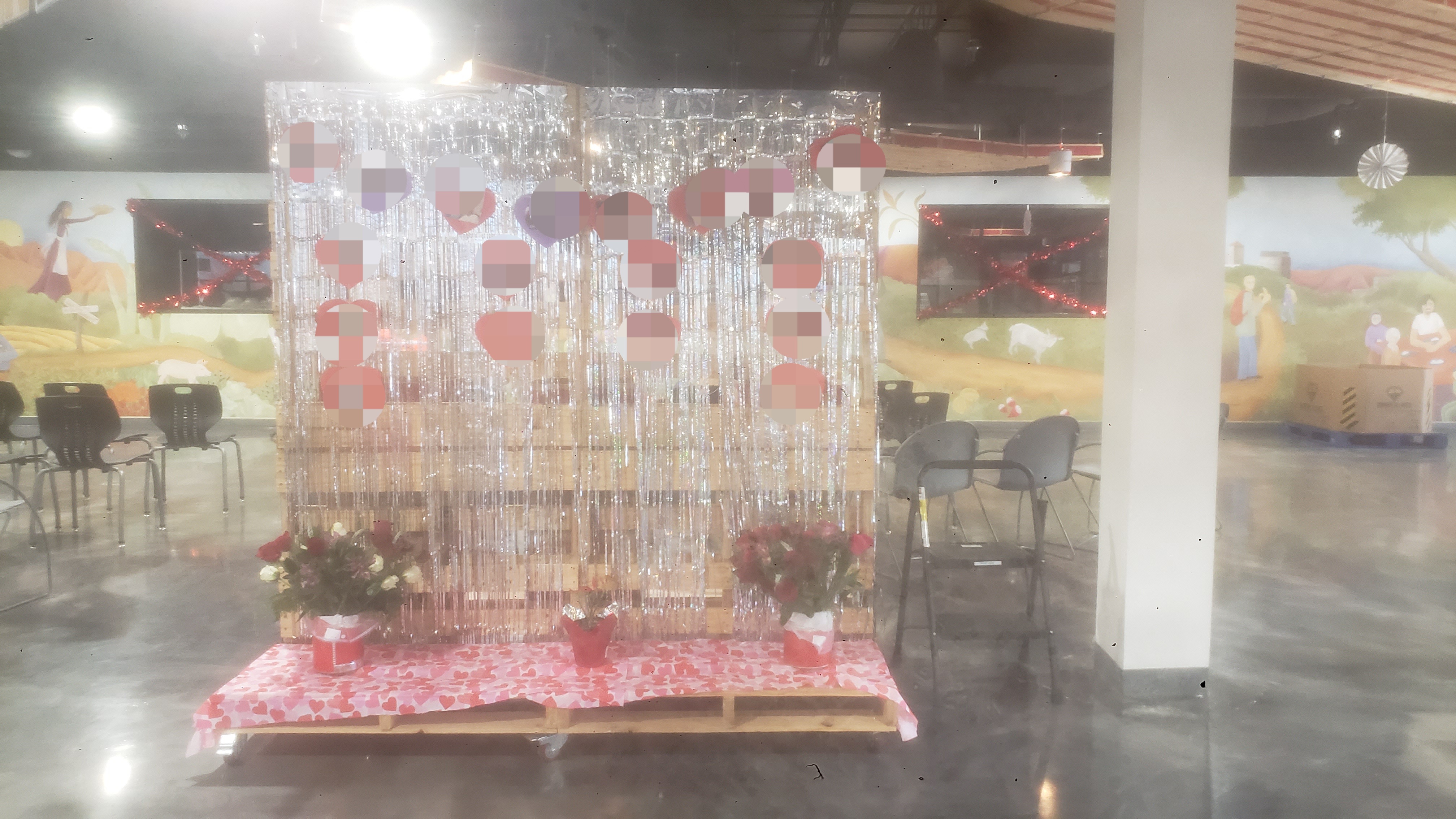Valentine's display of silver foil fringe curtains hung over a wooden pallet structure adorned with heart-shaped cutouts of volunteers photos and red plus white roses in pots at the base on a heart filled table runner.
